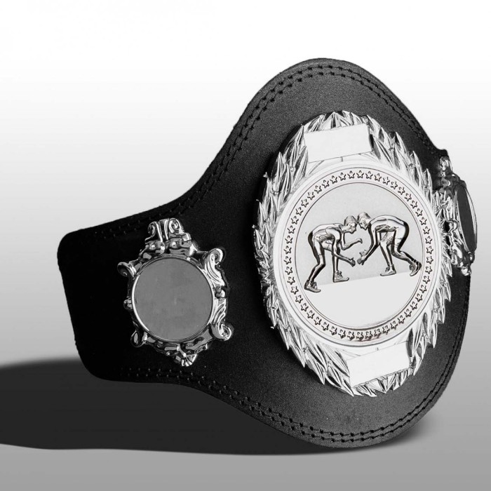 GRAPPLING CHAMPIONSHIP BELT-PLT286/S/GRAPS-4 COLOURS